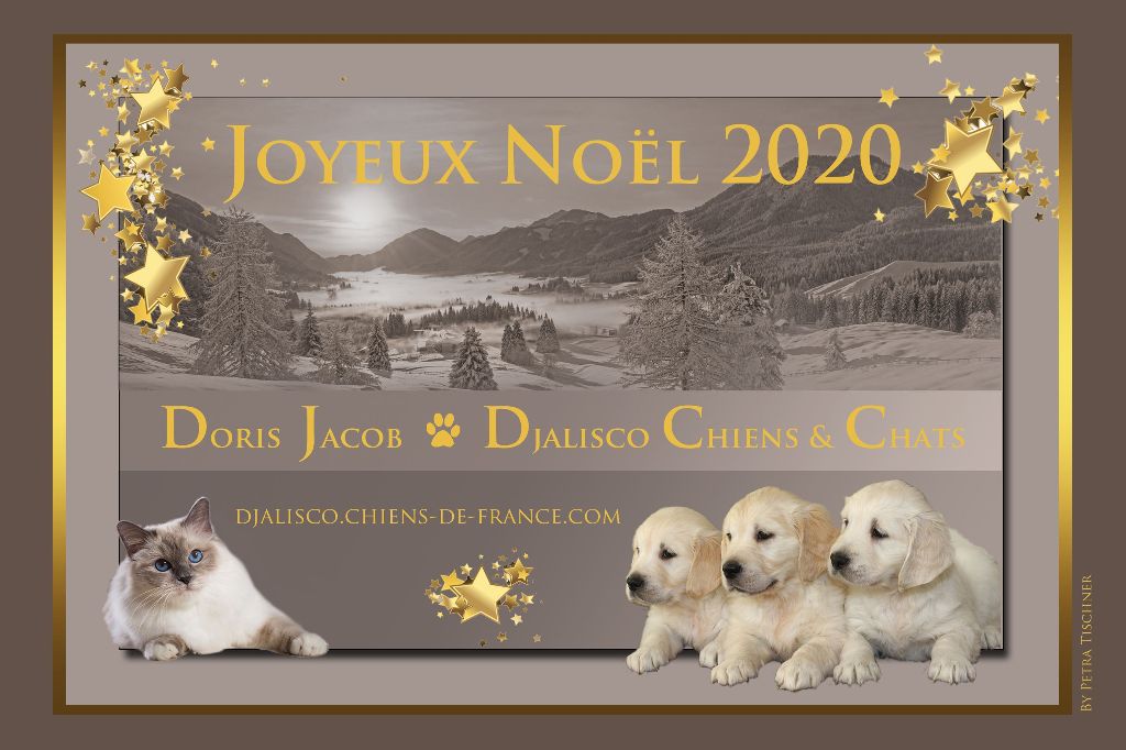 Djalisco - Joyeux Noel 2020